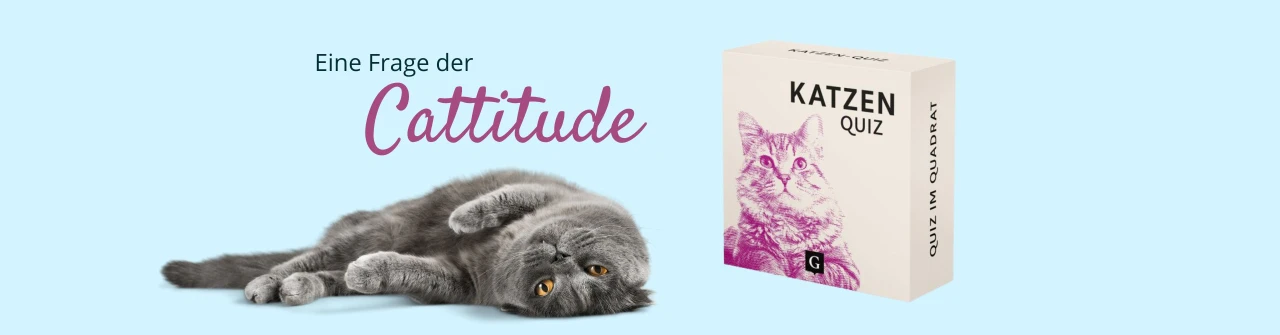 Katzen-Quiz